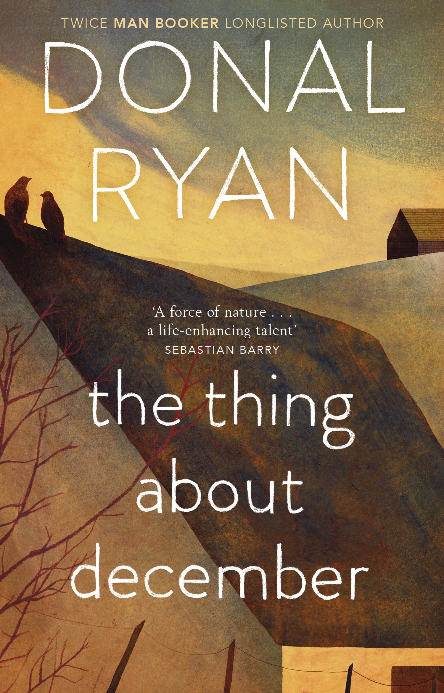 Thing About December - Donal Ryan