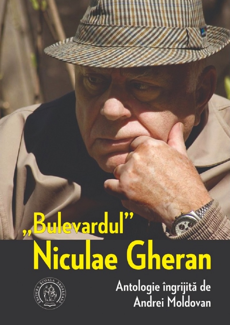 Bulevardul Niculae Gheran - Andrei Moldovan