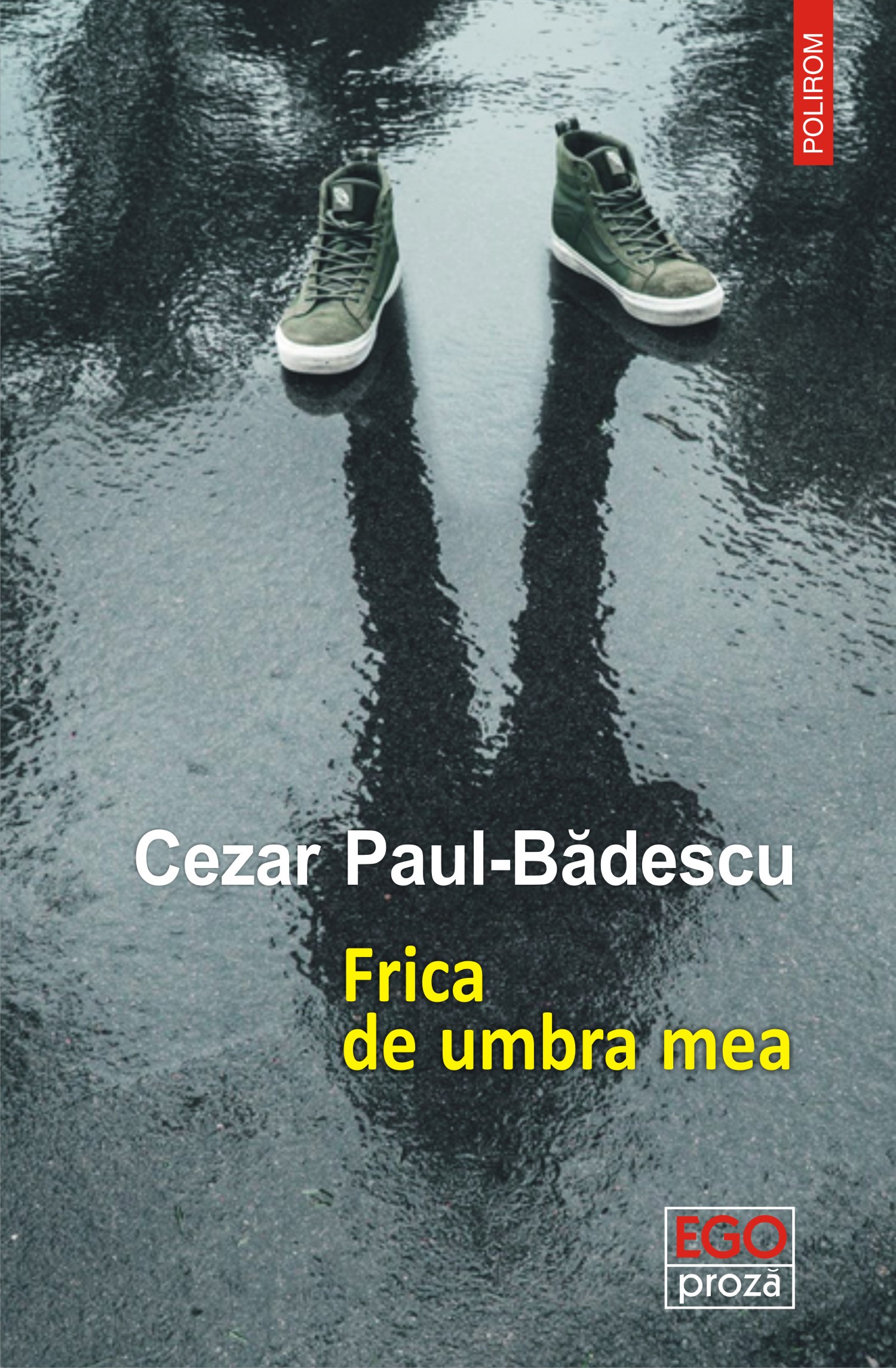 eBook Frica de umbra mea - Cezar Paul-Badescu