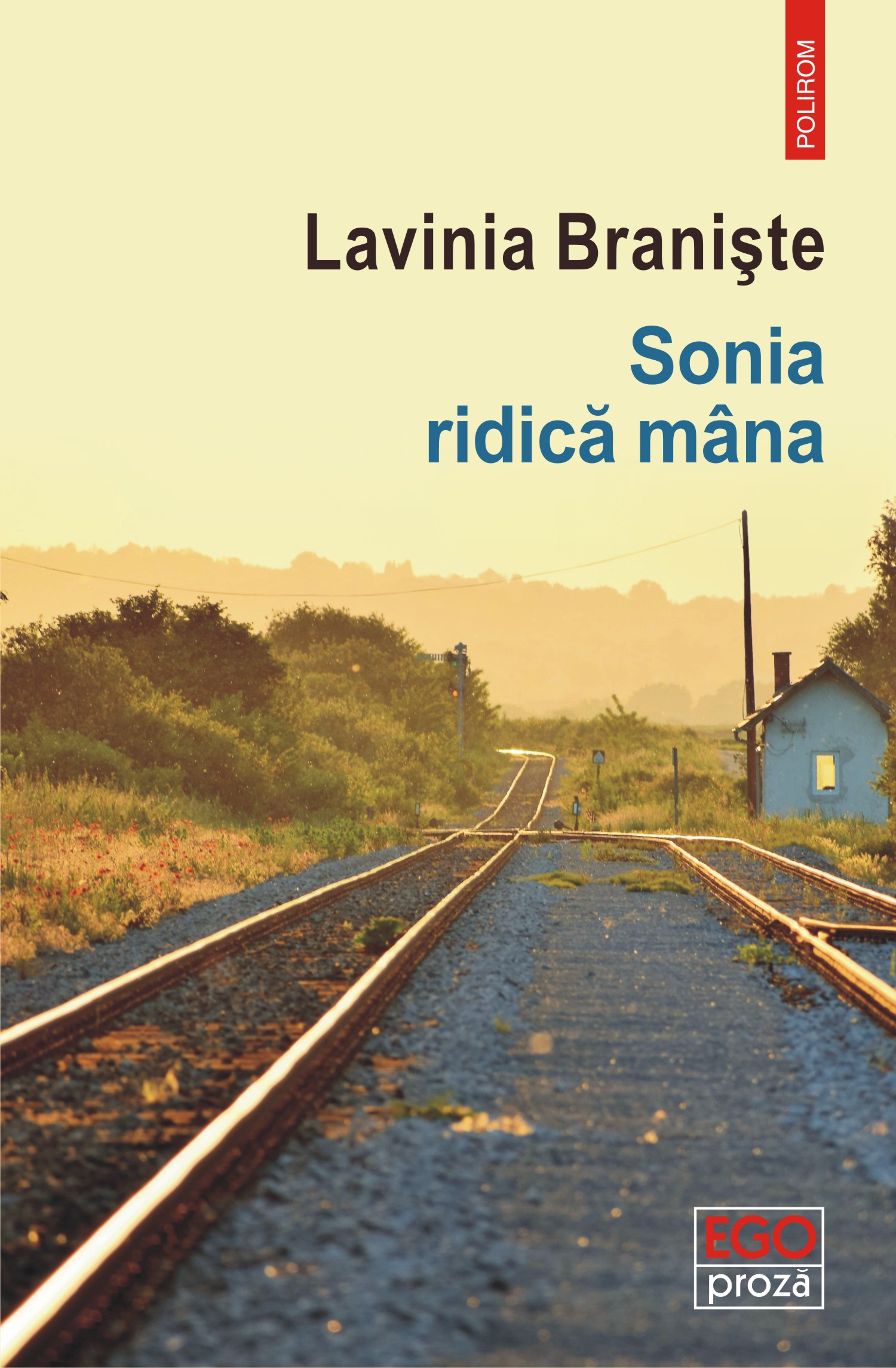 eBook Sonia ridica mana - Lavinia Braniste