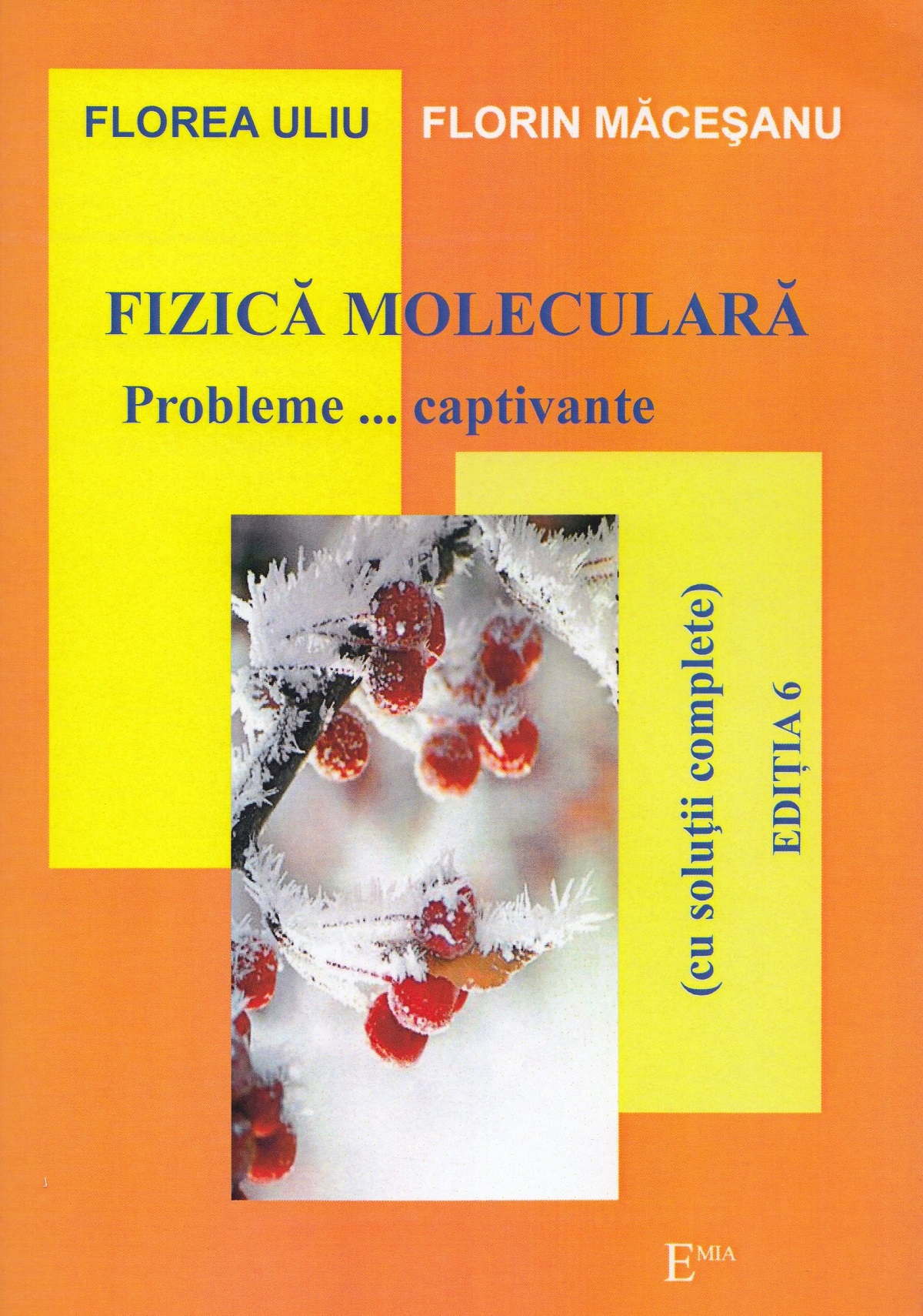 Fizica moleculara. Probleme captivante - Florea Uliu, Florin Macesanu