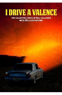 Coperta cărții 'Bill Callahan: I Drive A Valence - Bill Callahan'