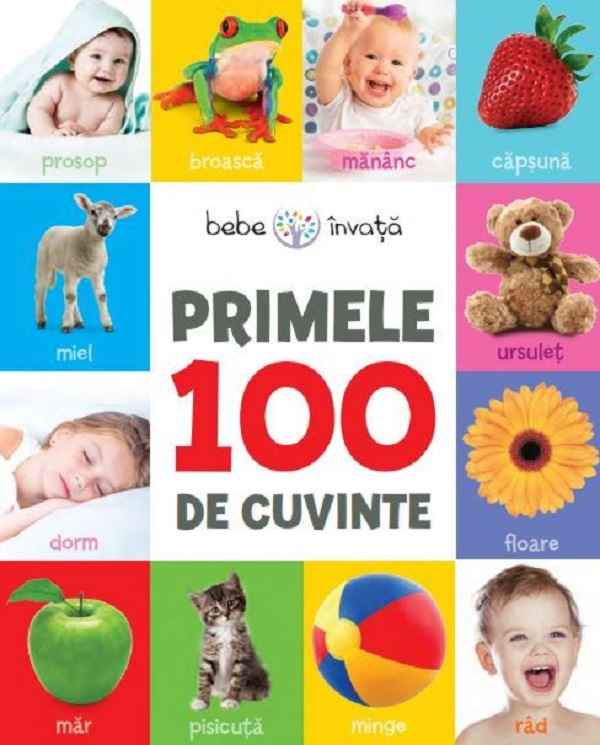 Primele 100 de cuvinte. Bebe invata