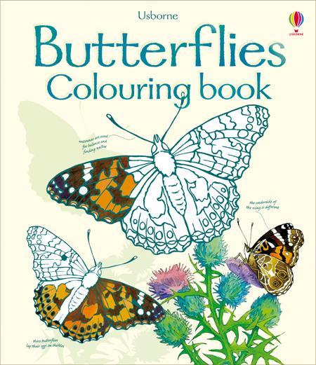 Butterflies Colouring Book -  