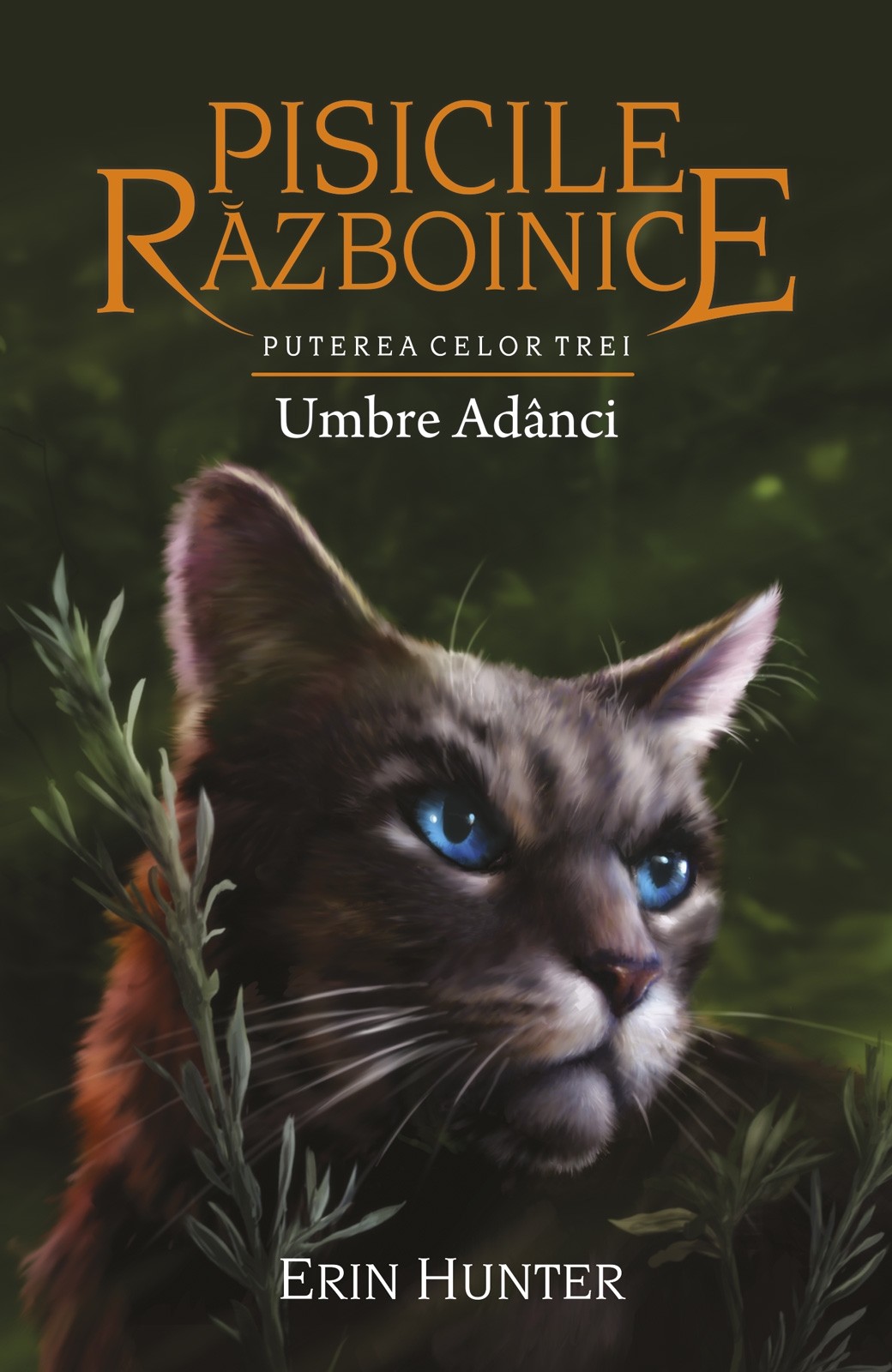 Pisicile Razboinice Vol.17: Umbre adanci - Erin Hunter