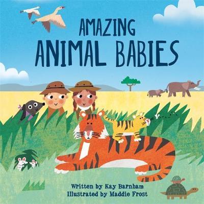 Look and Wonder: Amazing Animal Babies - Kay Barnham