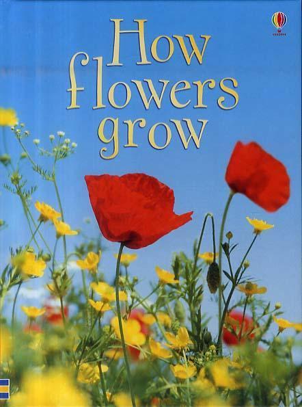 How Flowers Grow -  