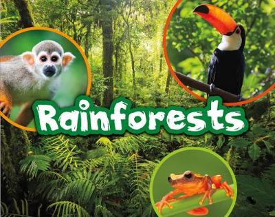 Rainforests - Kelly Gaffney