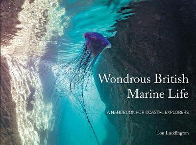 Wondrous British Marine Life - Lou Ludington