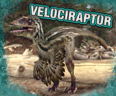 Velociraptor - Tammy Gagne