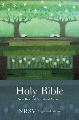 Holy Bible New Standard Revised Version -  