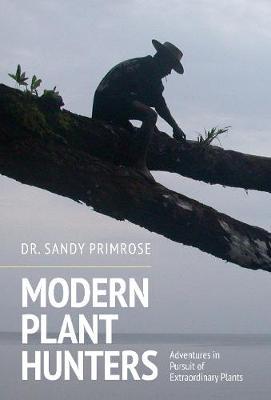 Modern Plant Hunters - Sandy Primrose