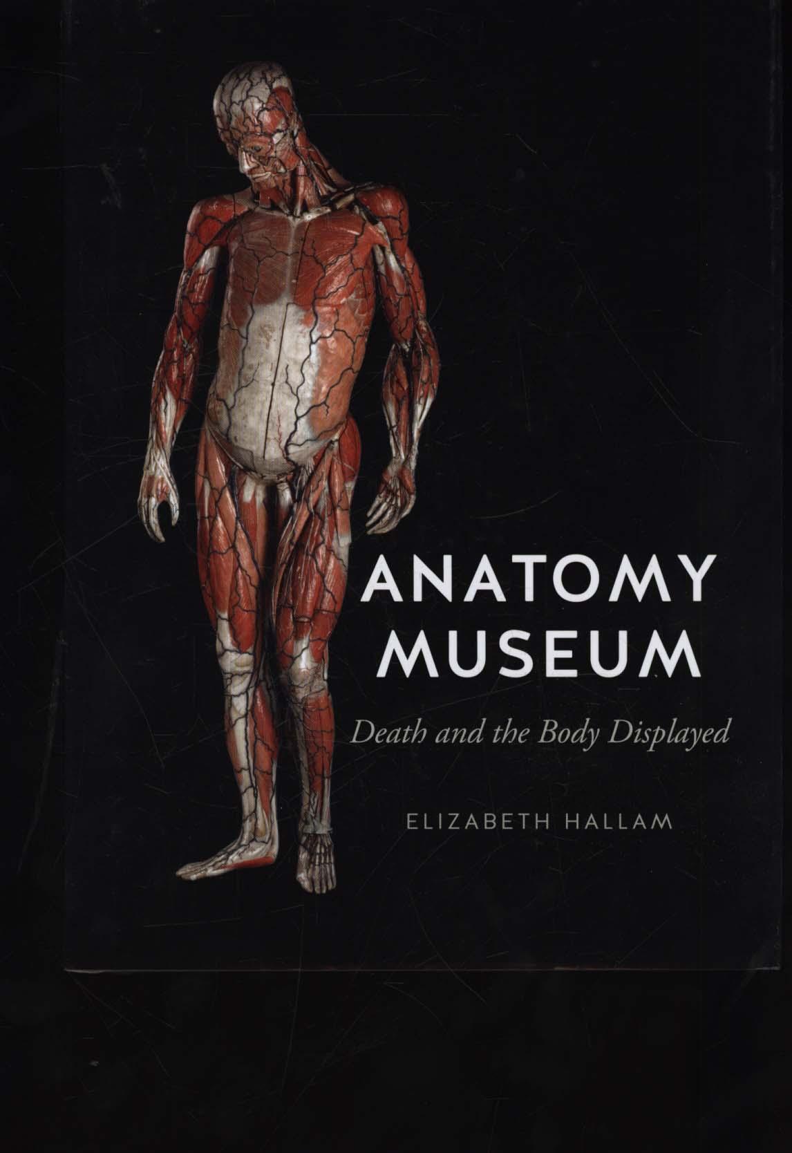 Anatomy Museum - Elizabeth Hallam