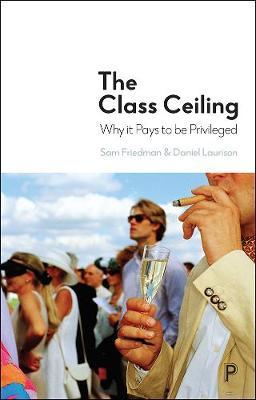 Class Ceiling - Sam Friedman