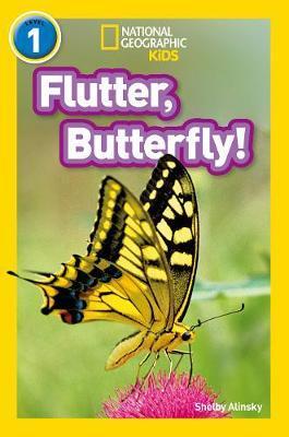Flutter, Butterfly! -  