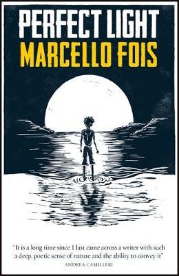 Perfect Light - Marcello Fois