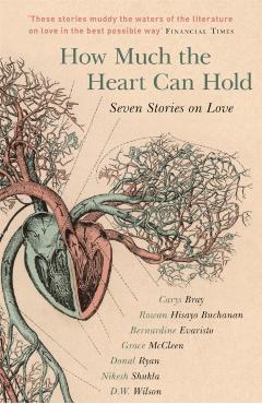 How Much the Heart Can Hold: the perfect alternative Valenti - Carys Bray