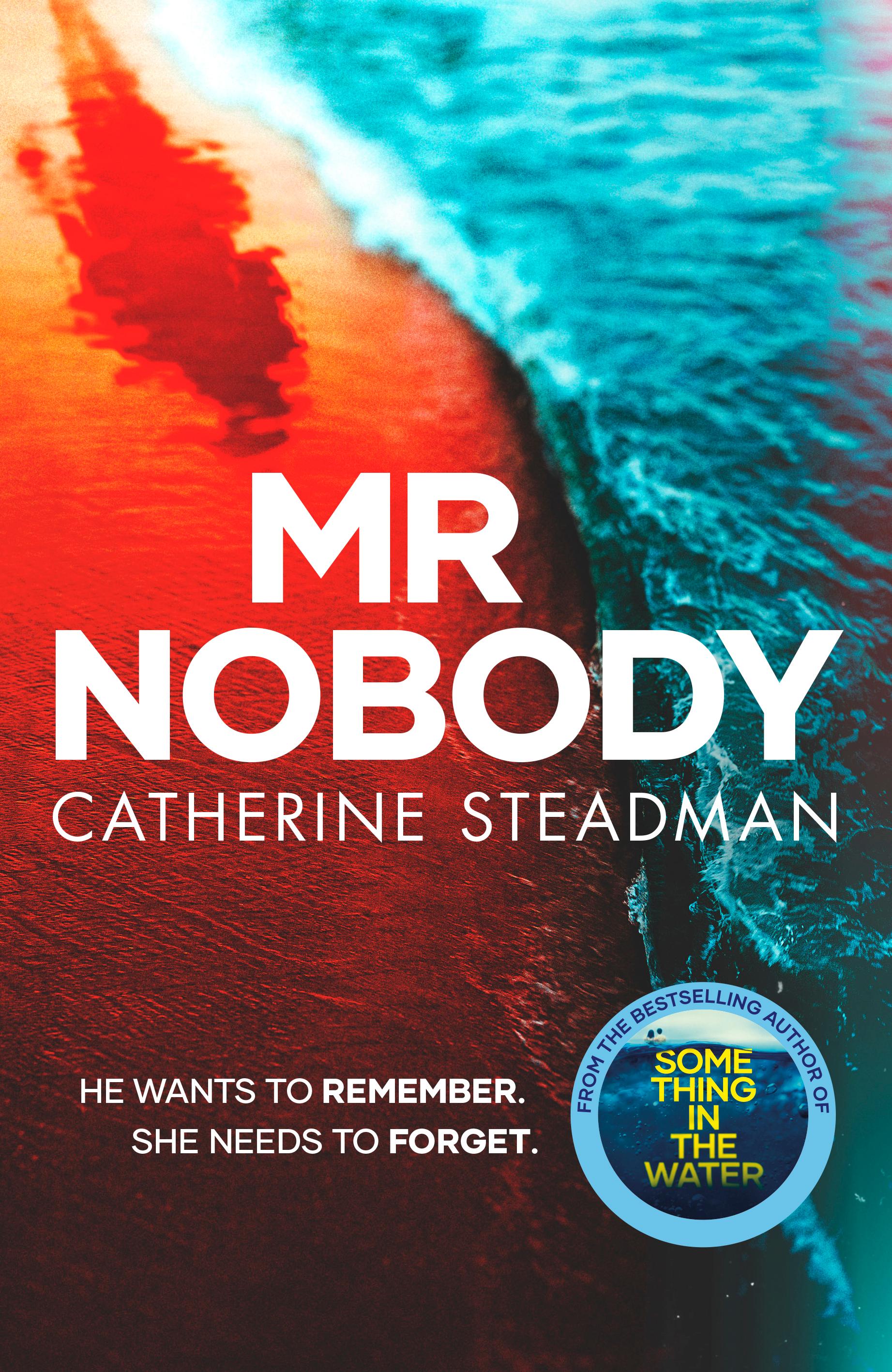 Mr Nobody - Catherine Steadman
