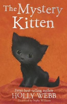 Mystery Kitten - Sophy Williams