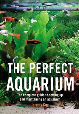 Perfect Aquarium - Jeremy Gay
