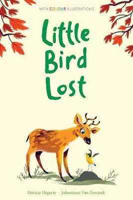 Little Bird Lost - Sebastian Van Doninck