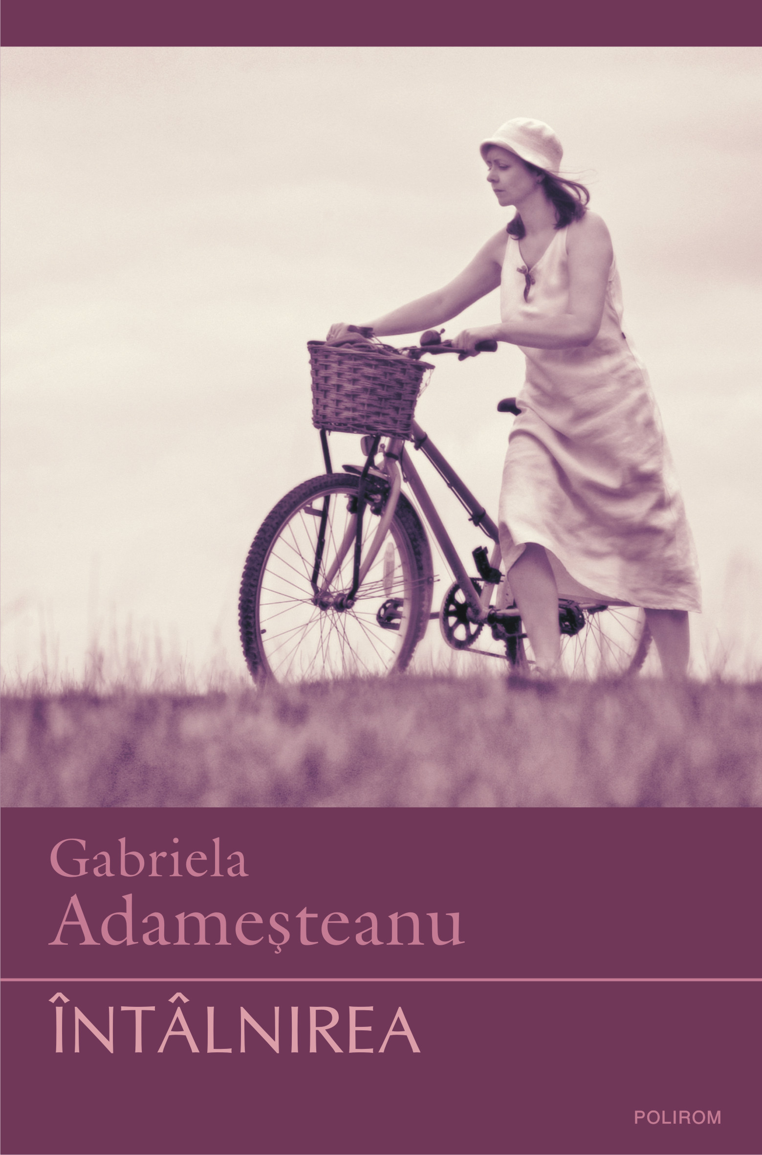 eBook Intalnirea - Gabriela Adamesteanu