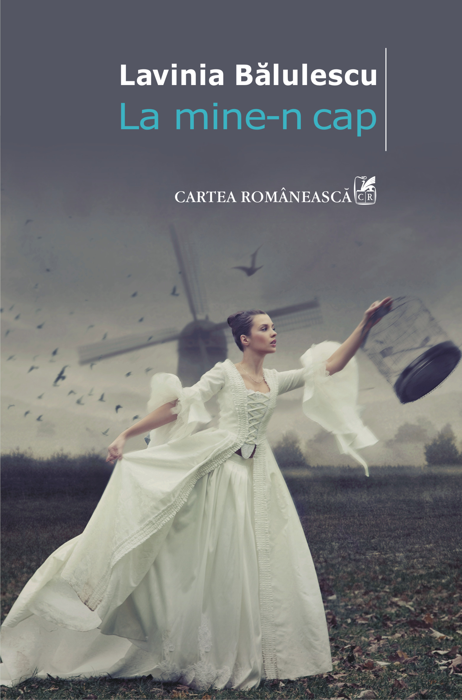 eBook La mine-n cap - Lavinia Balulescu