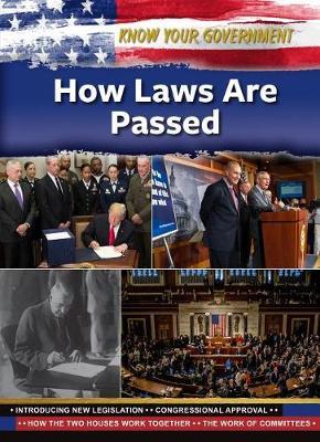 How Laws Are Passed - Justine Rubinstein