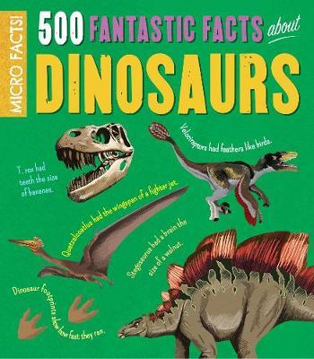 Micro Facts!: 500 Fantastic Facts About Dinosaurs - Anne Rooney