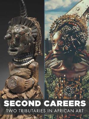 Second Careers - Ugochukwu-Smooth C Nzewi