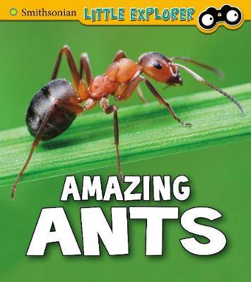 Amazing Ants - Megan Cooley-Peterson