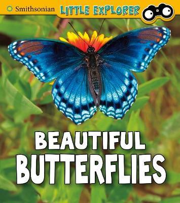Beautiful Butterflies - Melissa Higgins
