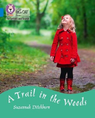Trail in the Woods -  