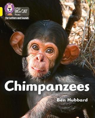 Chimpanzees -  
