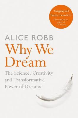 Why We Dream - Alice Robb
