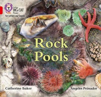 Rock Pools -  
