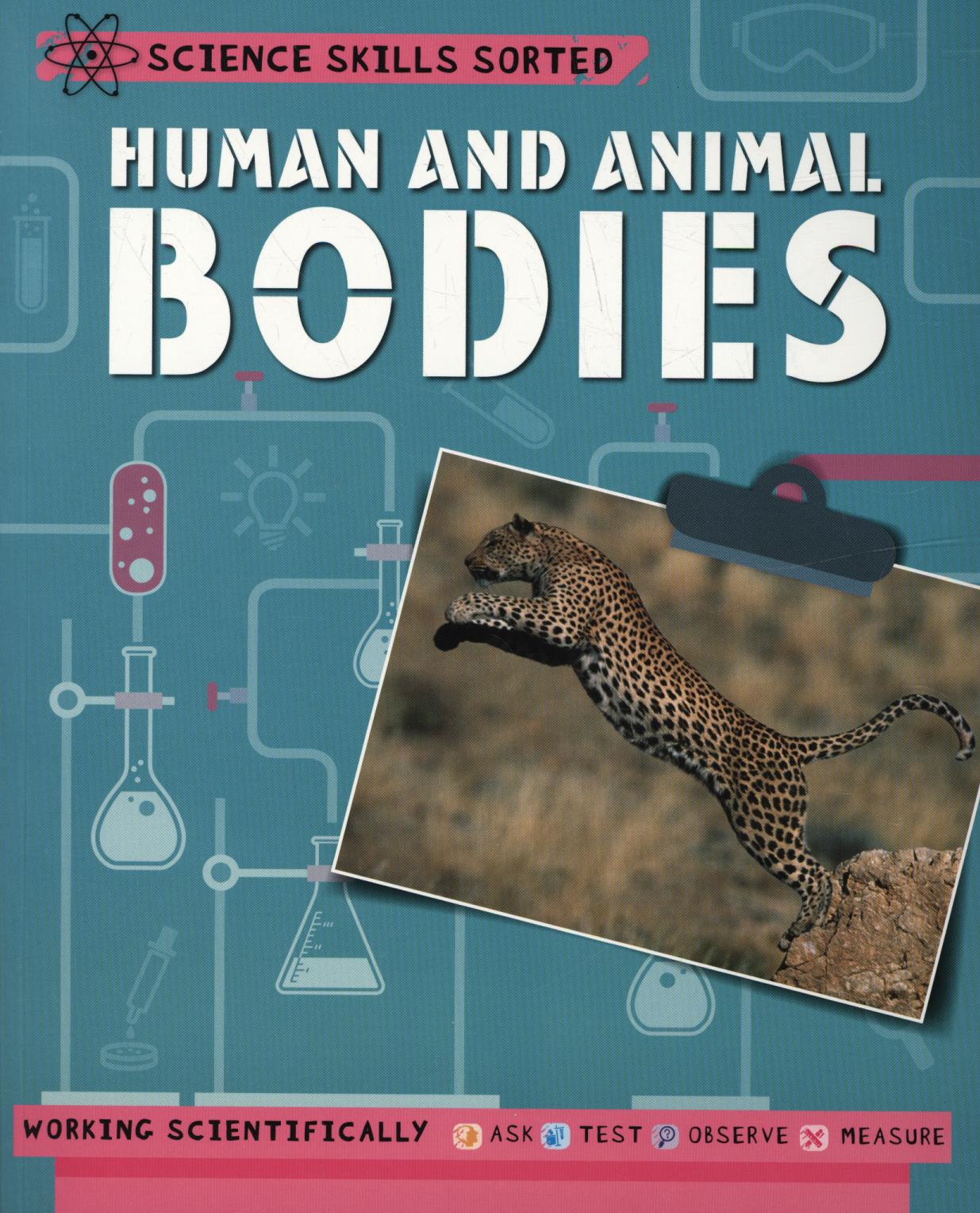 Science Skills Sorted!: Human and Animal Bodies - Angela Royston