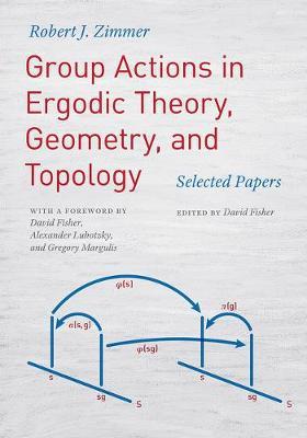 Group Actions in Ergodic Theory, Geometry, and Topology - Robert J Zimmer