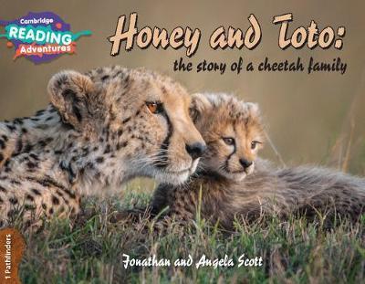 Honey and Toto: The Story of a Cheetah Family 1 Pathfinders -  