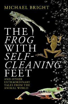 Frog with Self-Cleaning Feet - Michael Bright