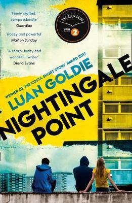Nightingale Point - Luan Goldie