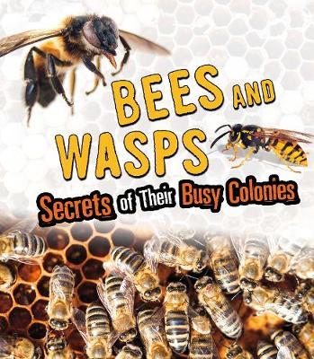 Bees and Wasps - Sara Lynn Latta