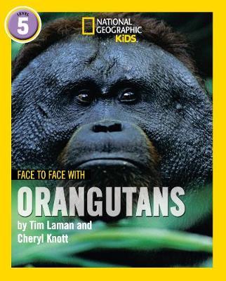 Face to Face with Orangutans - Tim Laman