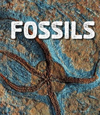 Fossils - Ava Sawyer
