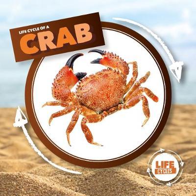 Crab - Kirsty Holmes