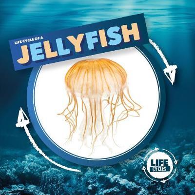 Jellyfish - Kirsty Holmes