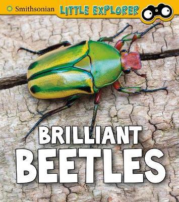 Brilliant Beetles - Melissa Higgins