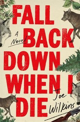 Fall Back Down When I Die - Joe Wilkins
