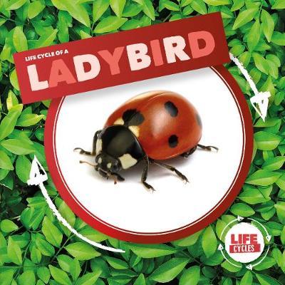 Ladybird - Kirsty Holmes
