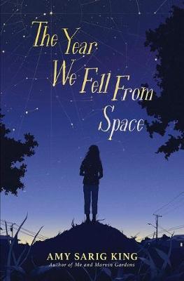 Year We Fell From Space - Amy Sarig King